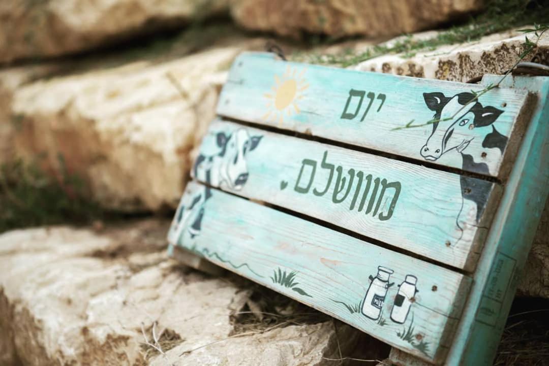 חלון לגלבוע צימר בוטיק בעמק המעיינות Bet Alfa Luaran gambar